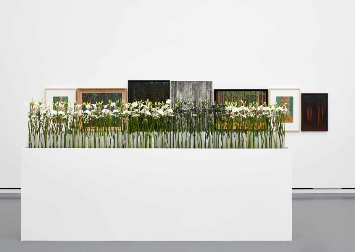 Eine florale Interpretation eines Kunstwerkes aus der Sammlung des Aargauer Kunsthauses