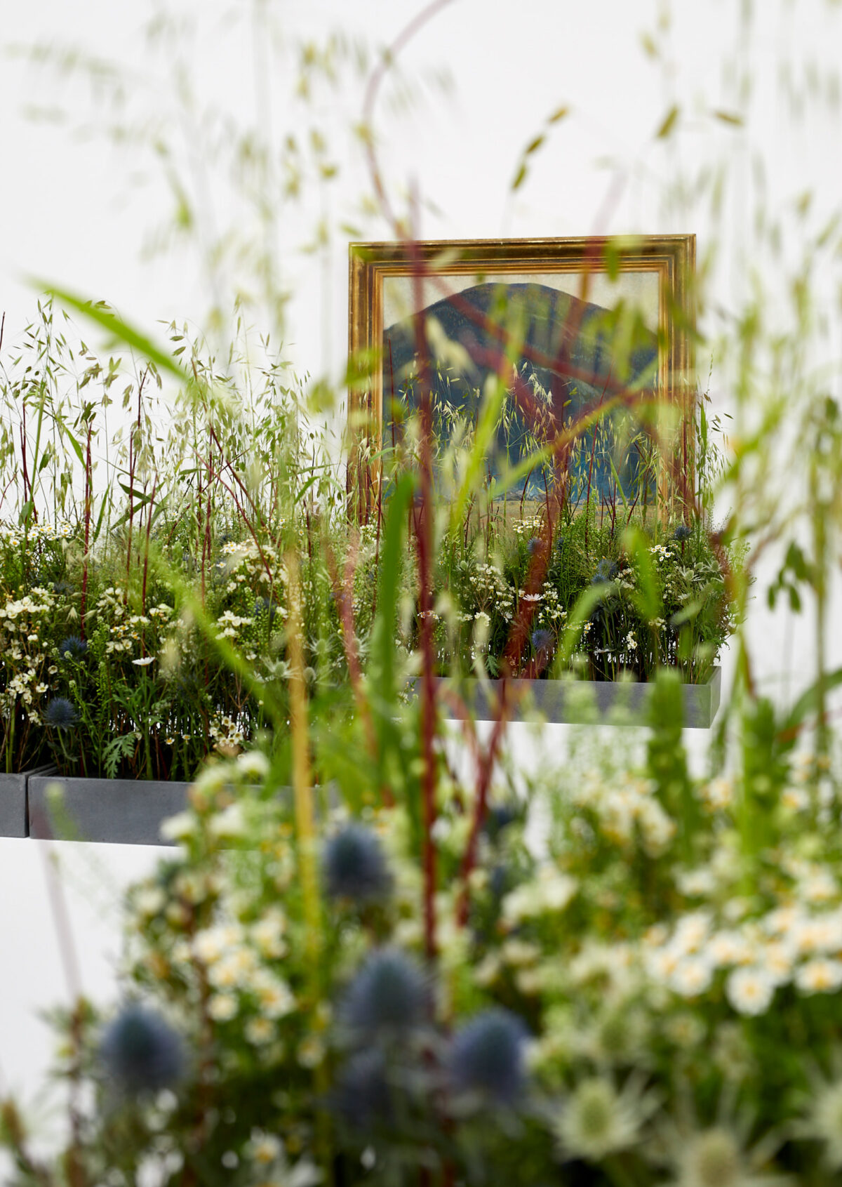 Eine florale Interpretation eines Kunstwerkes aus der Sammlung des Aargauer Kunsthauses