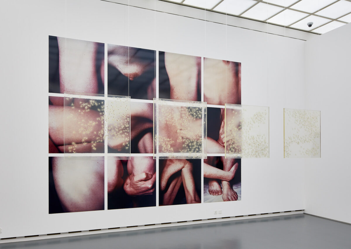 Eine florale Interpretation eines Kunstwerkes aus der Sammlung des Aargauer Kunsthauses