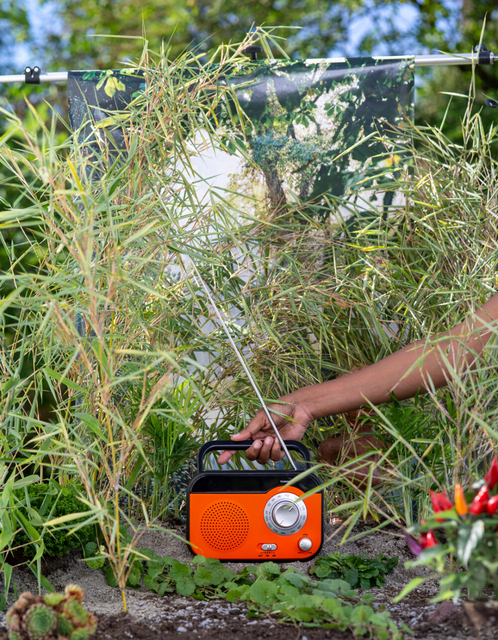 Eine Hand hält ein orangen Radiogerät mit einer Antenne in ein Feld mit Pflanzen