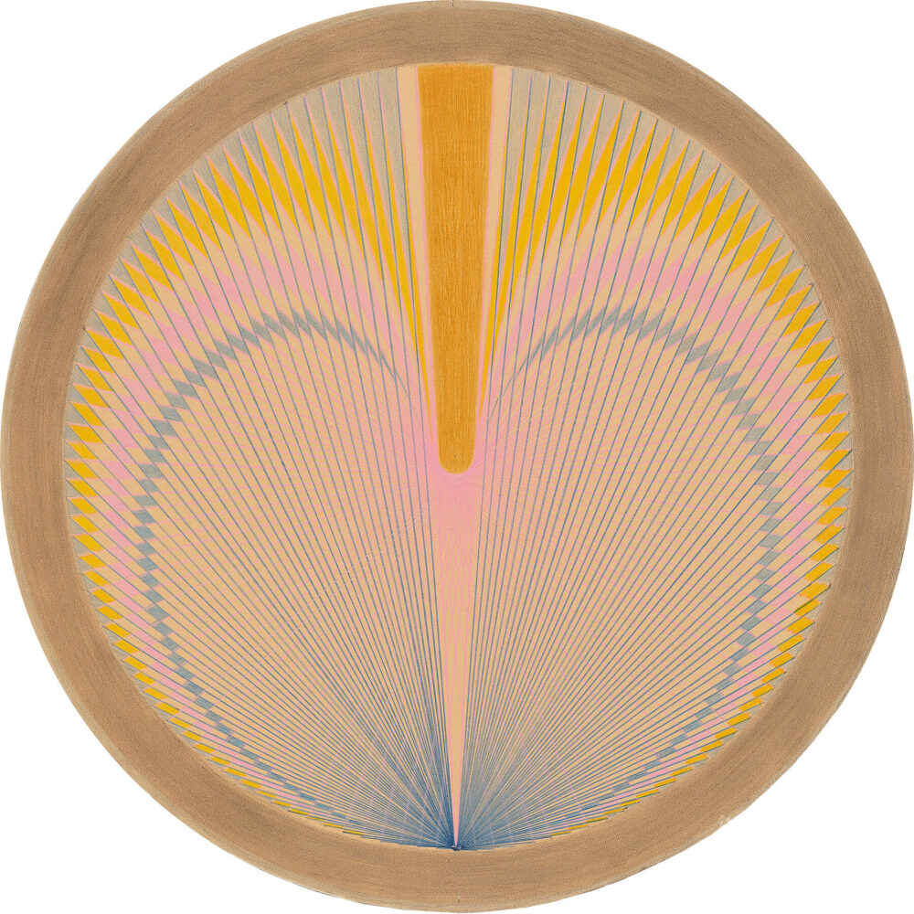 Eine geometrische Zeichnung eines Kreises, der mit vielen Linien gefüllt ist.