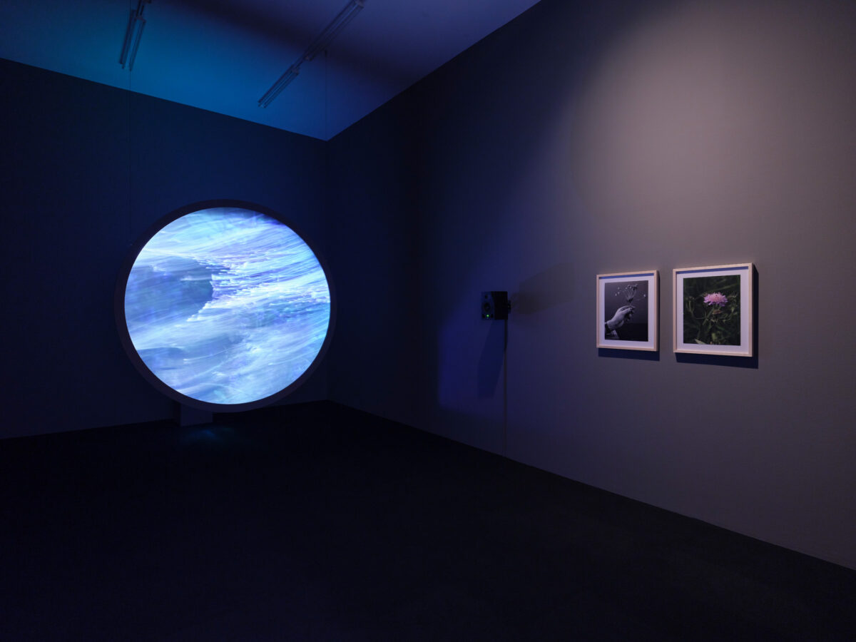 Ausstellungsansicht mit verschiedenen Werken im Aargauer Kunsthaus