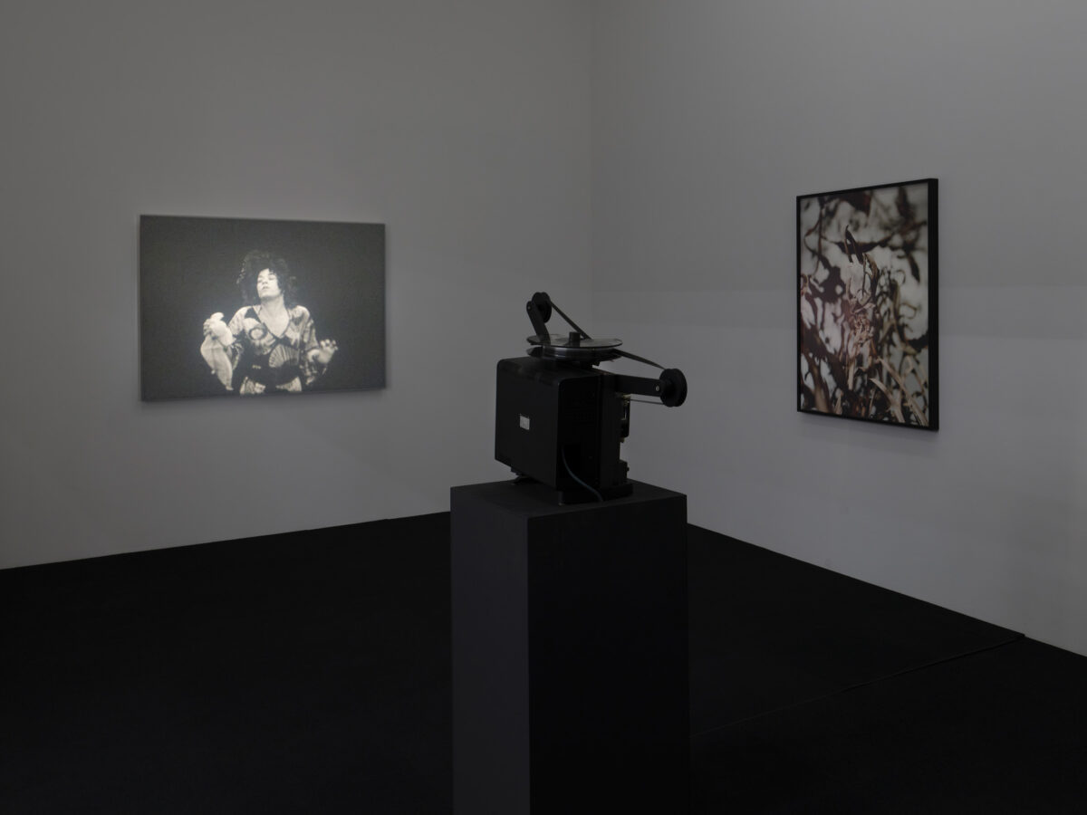 Ausstellungsansicht mit verschiedenen Werken im Aargauer Kunsthaus