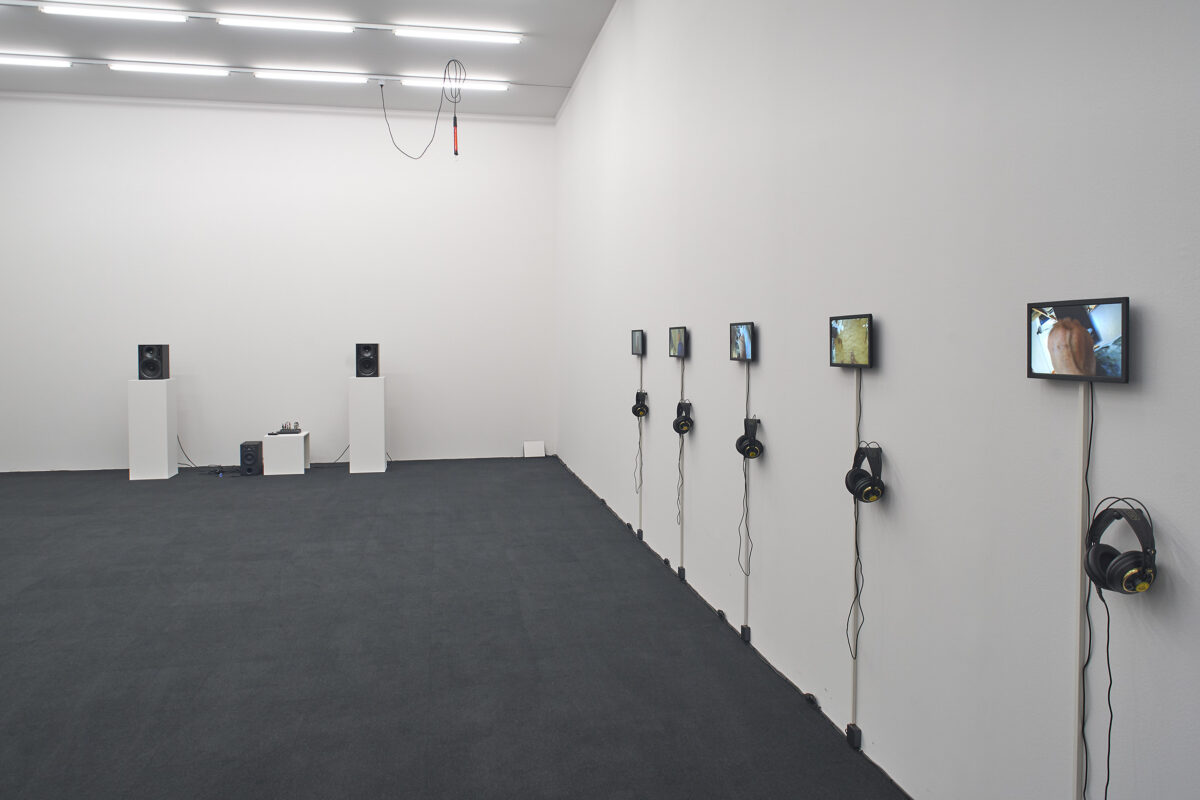 Ausstellungsansicht mit verschiedenen Werken im Aargauer Kunsthaus