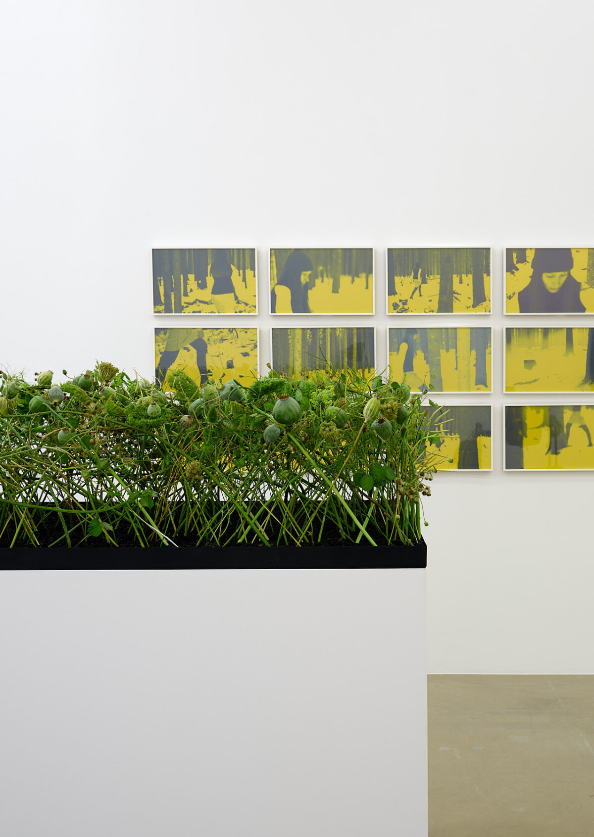 Ausstellungsansicht mit verschiedenen Gemälden im Aargauer Kunsthaus