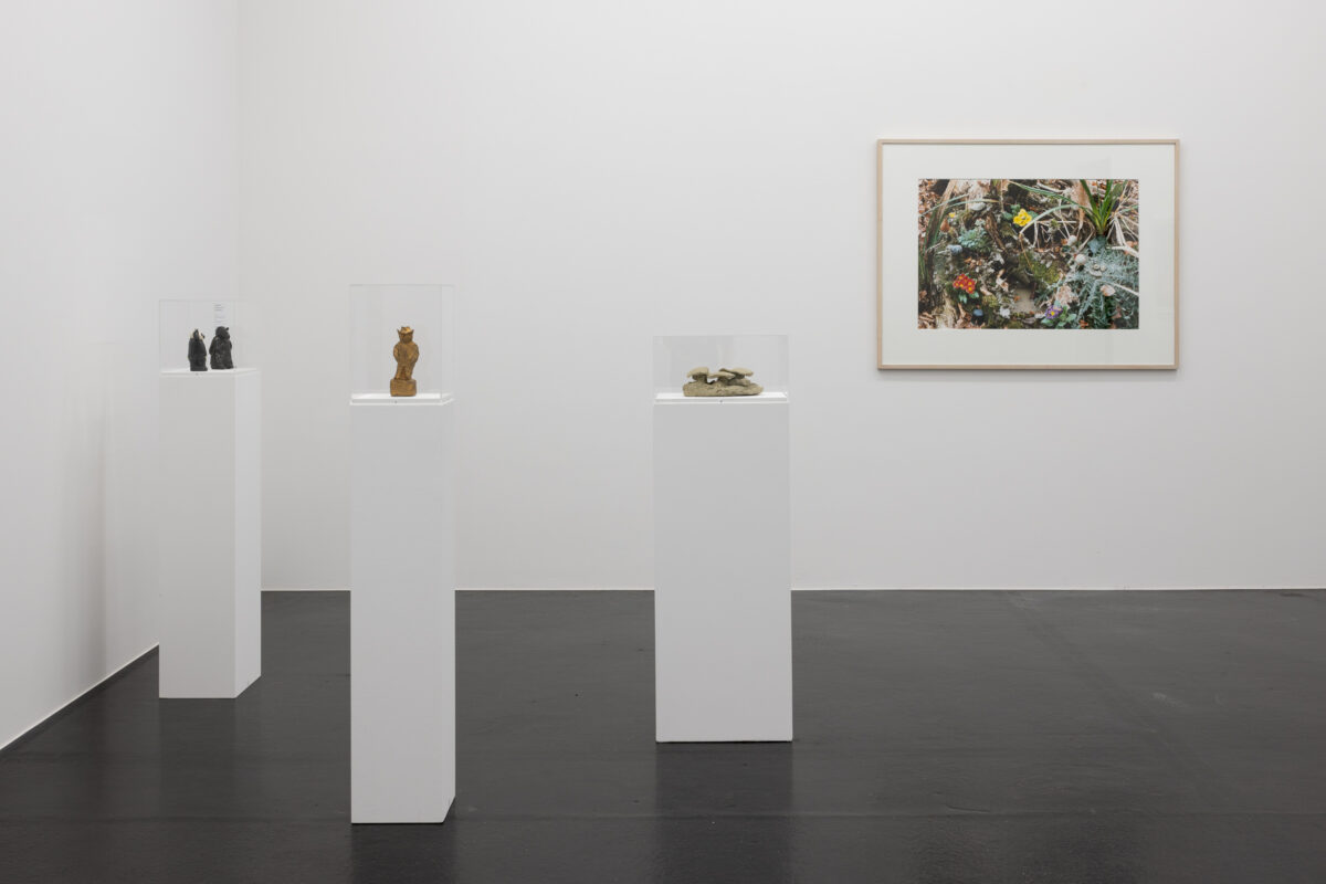 Ausstellungsansicht mit verschiedenen Gemälden im Aargauer Kunsthaus