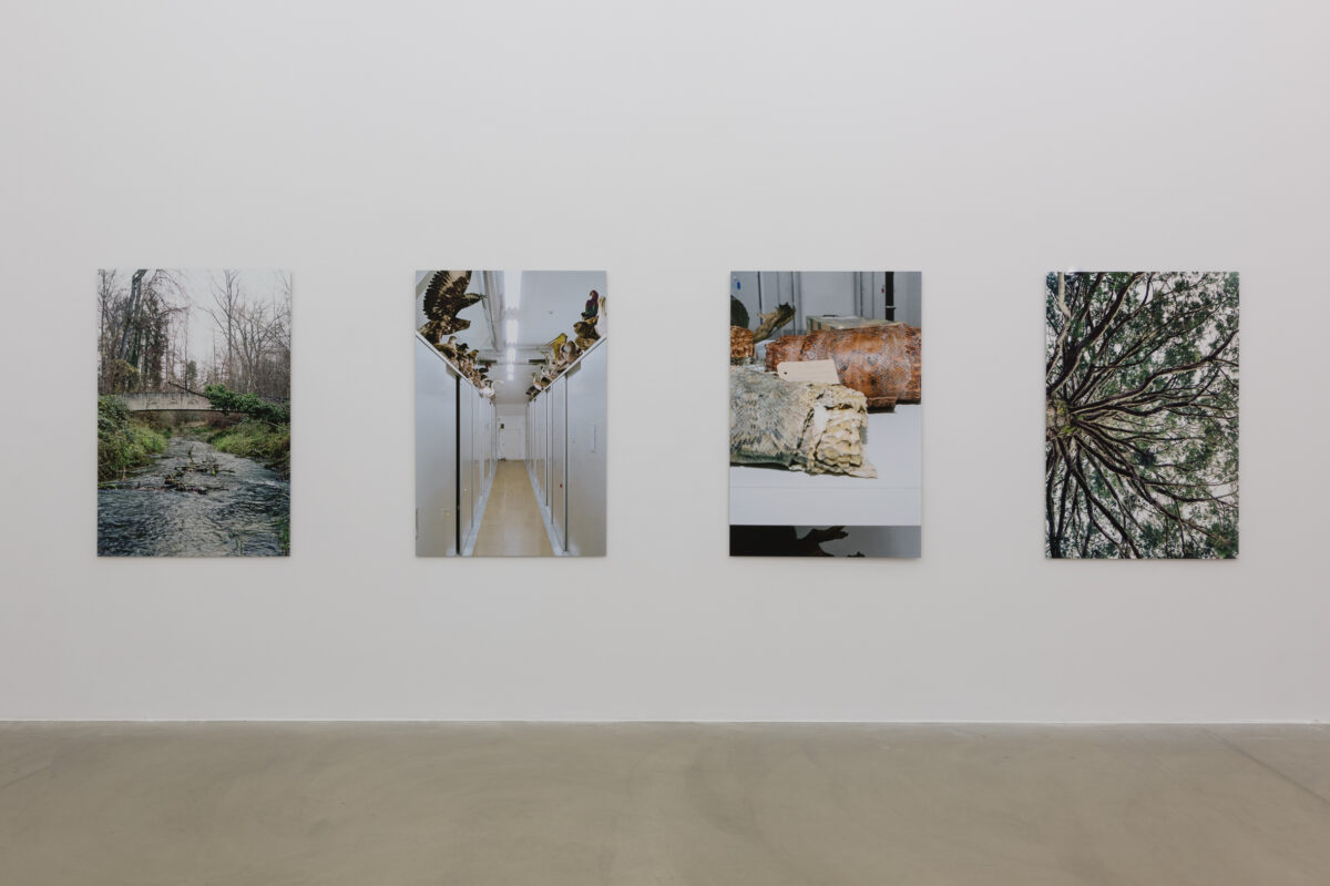 Ausstellungsansicht mit verschiedenen Werken im Aargauer Kunsthaus