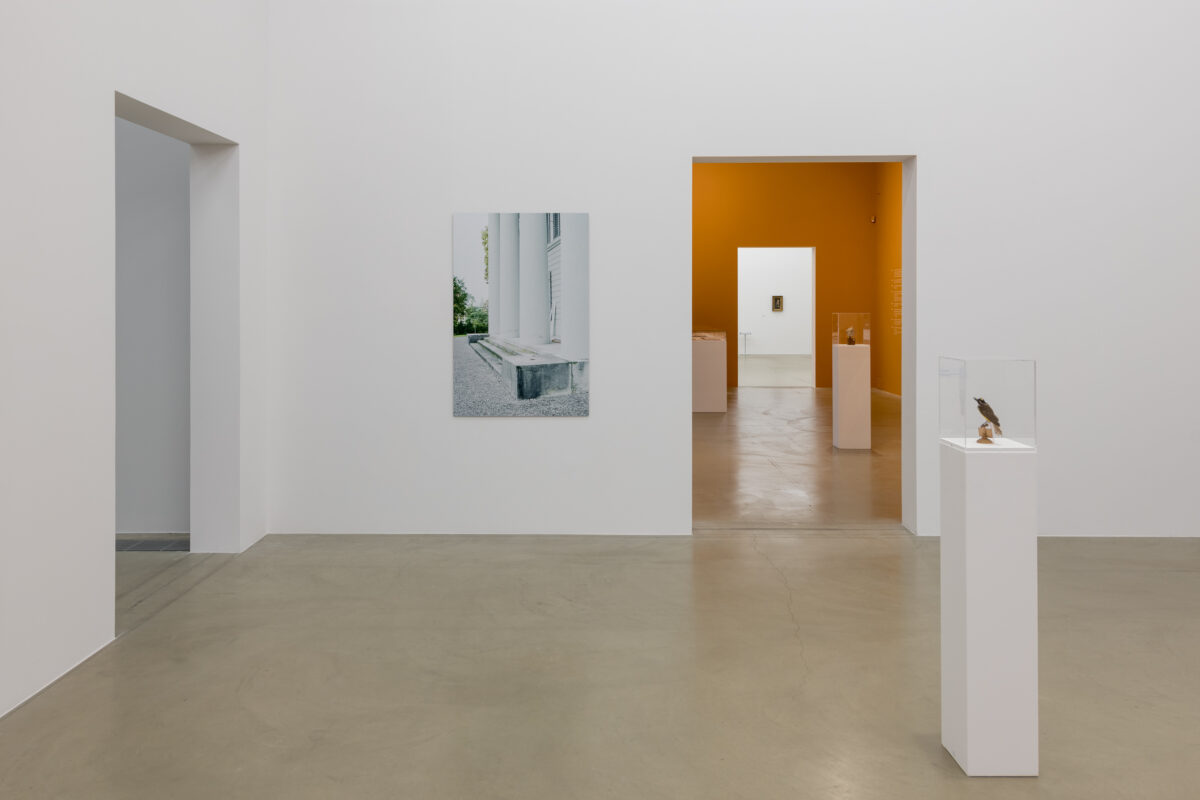 Ausstellungsansicht mit verschiedenen Werken im Aargauer Kunsthaus