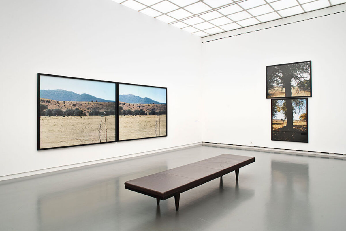 Installationsansicht von Kunstwerken im Aargauer Kunsthaus