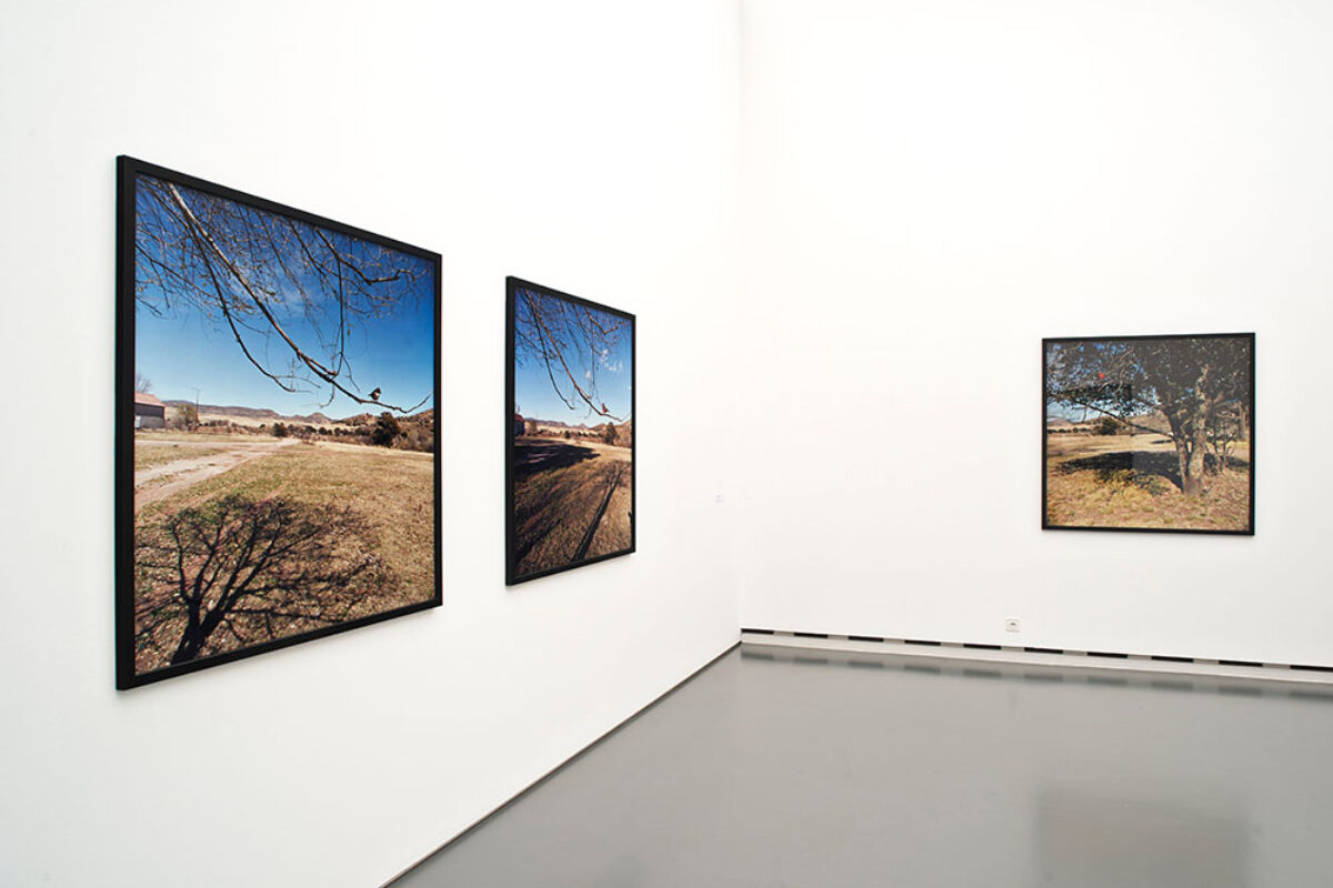 Installationsansicht von Kunstwerken im Aargauer Kunsthaus