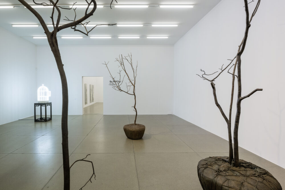 Installationsansicht von verschiedenen Kunstwerken im Aargauer Kunsthaus