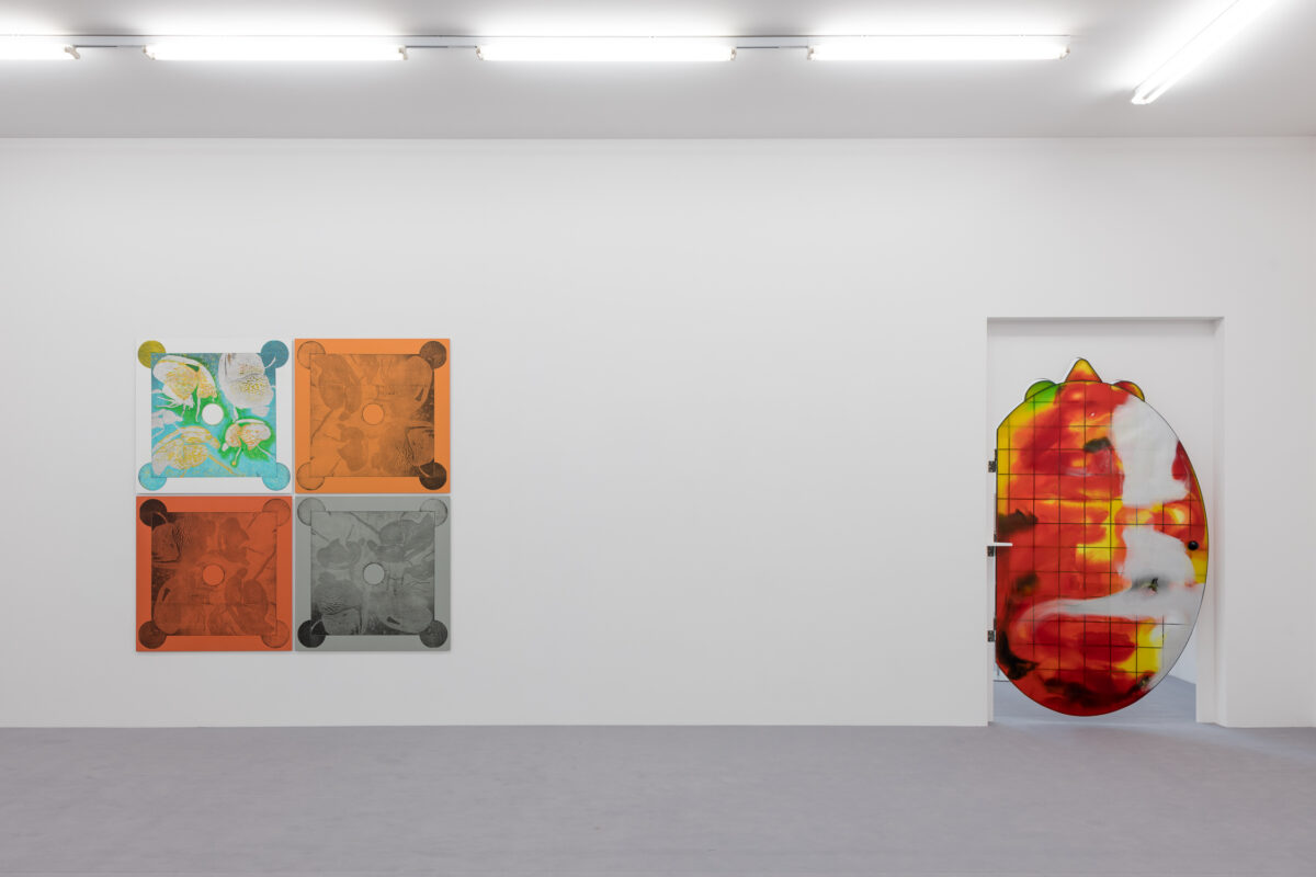 Installationsansicht von verschiedenen Kunstwerken im Aargauer Kunsthaus