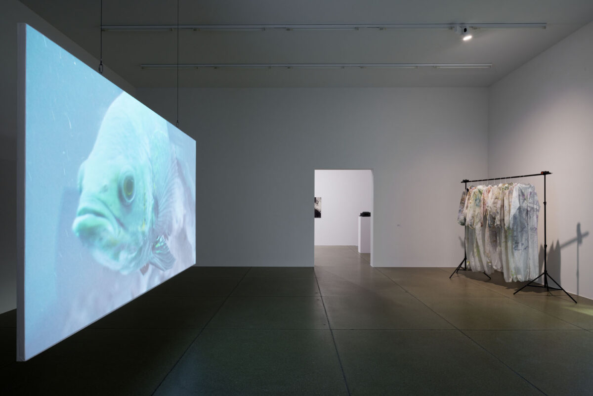 Ausstellungsansicht mit verschiedenen Kunstwerken im Aargauer Kunsthaus