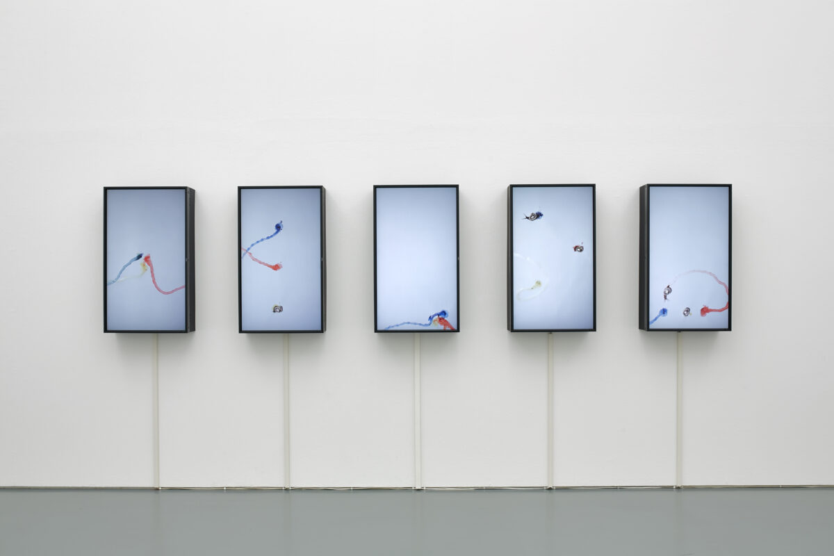 Ausstellungsansicht mit verschiedenen Kunstwerken im Aargauer Kunsthaus