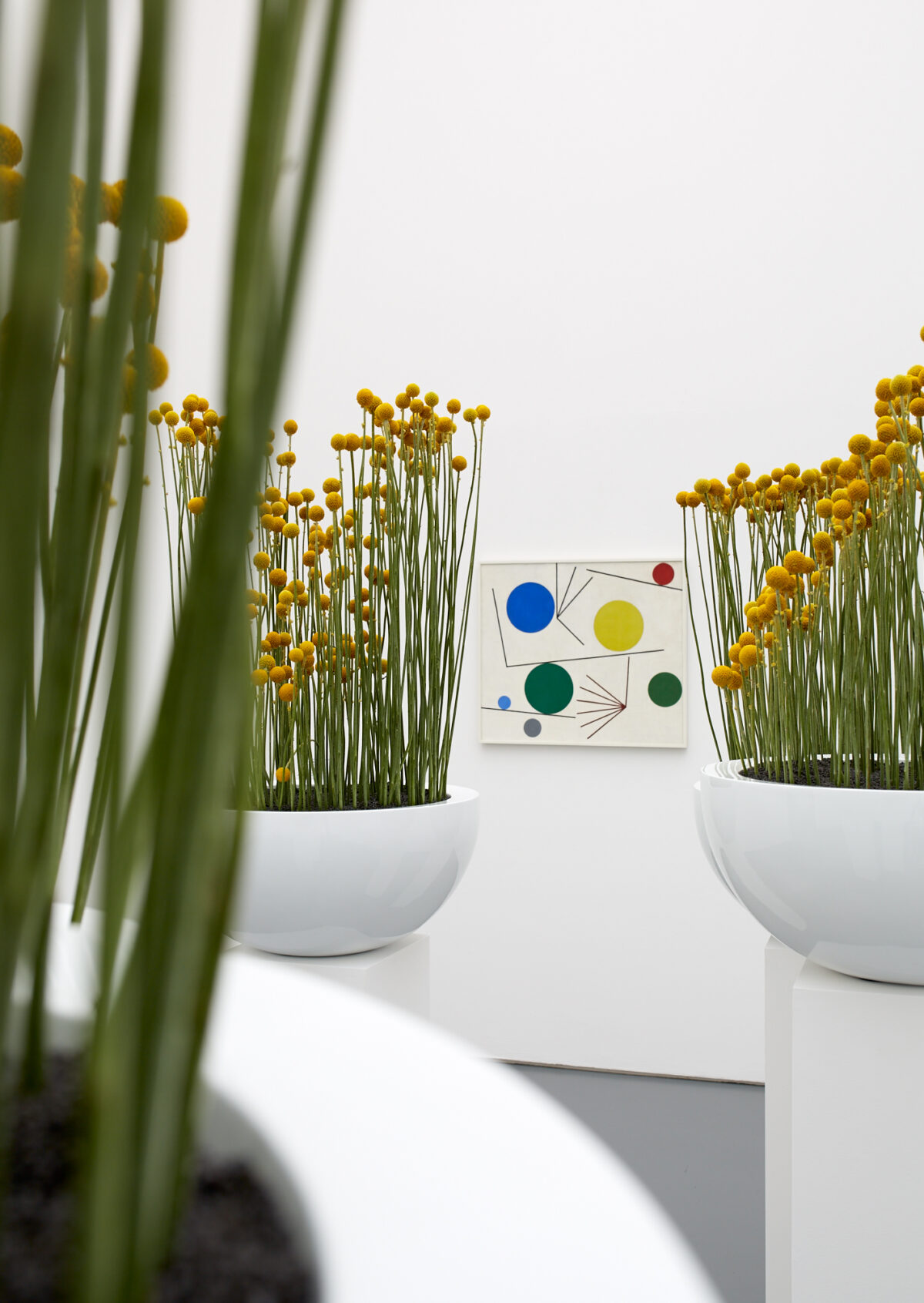 Eine florale Interpretation eines Kunstwerkes aus der Sammlung des Aargauer Kunsthauses