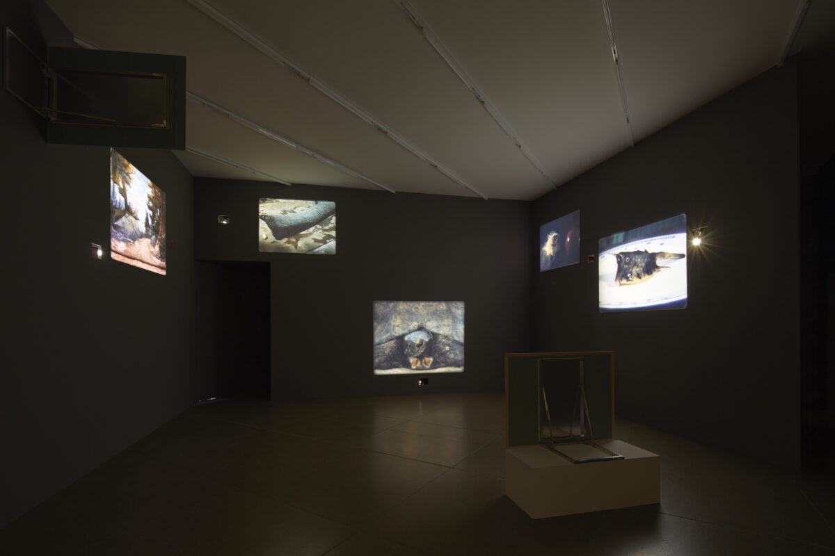 Ausstellungsansicht mit verschiedenen Kunstwerken im Aargauer Kunsthaus