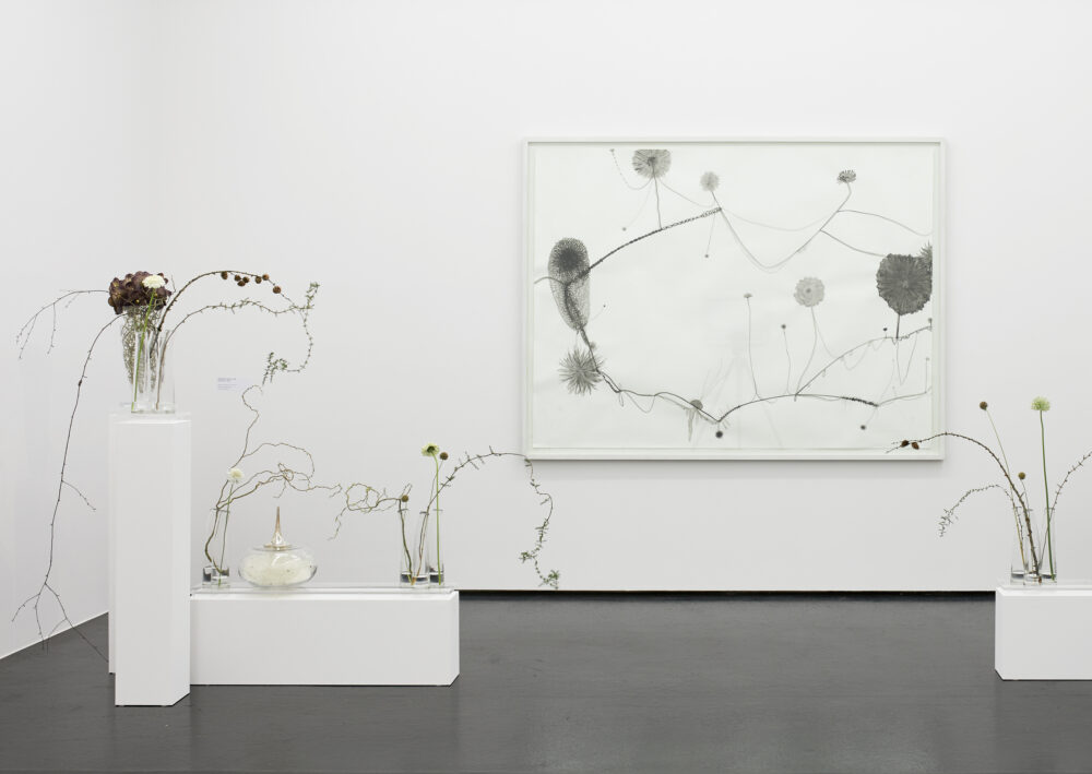 Eine florale Interpretation eines Kunstwerkes aus der Sammlung des Aargauer Kunsthauses