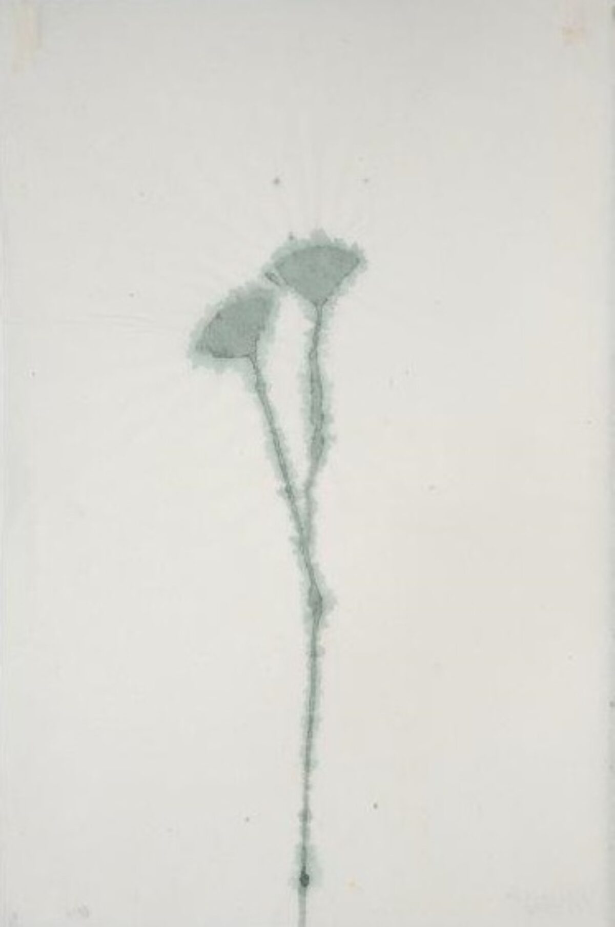 Mireille Gros, Ohne Titel, 1996