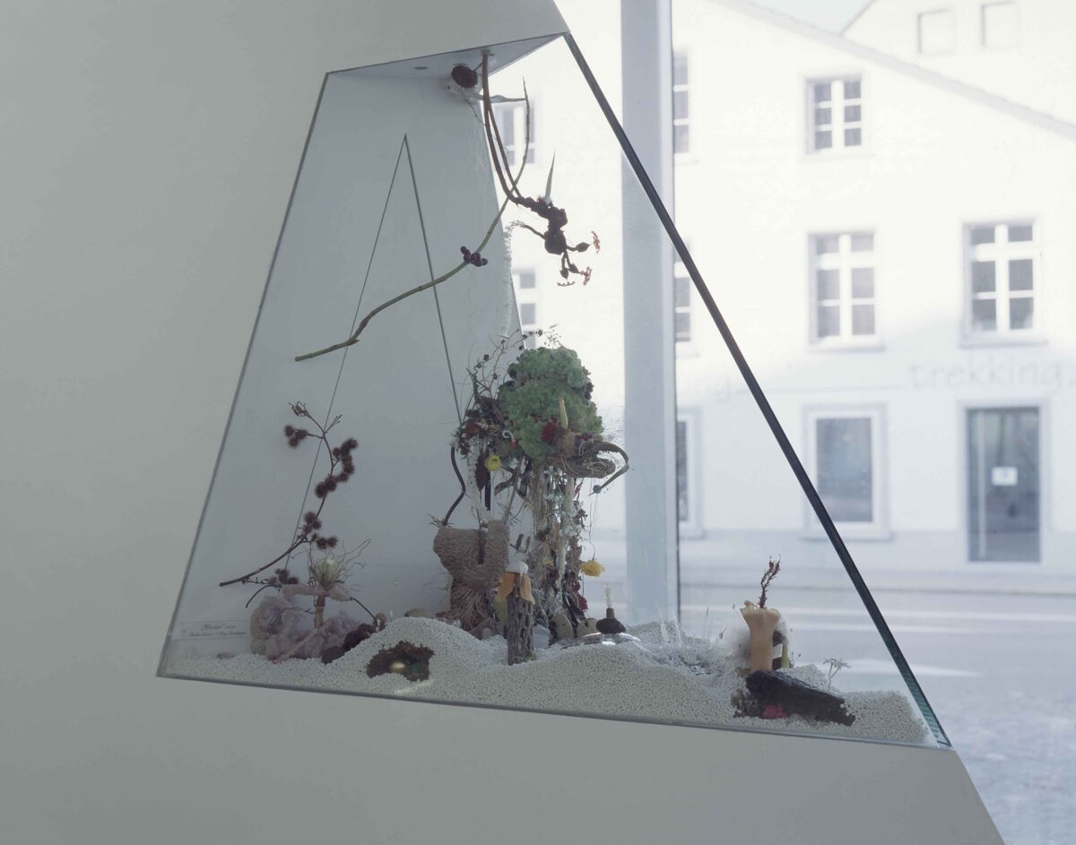 Gerda Steiner
Jörg Lenzlinger, Wucher, 2003