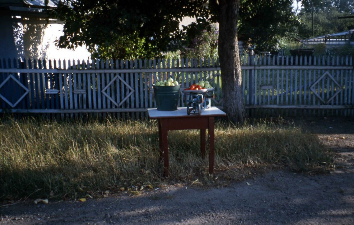 Roman Signer, Strassenbilder: Karpaten, Ukraine, Rumänien, 2005