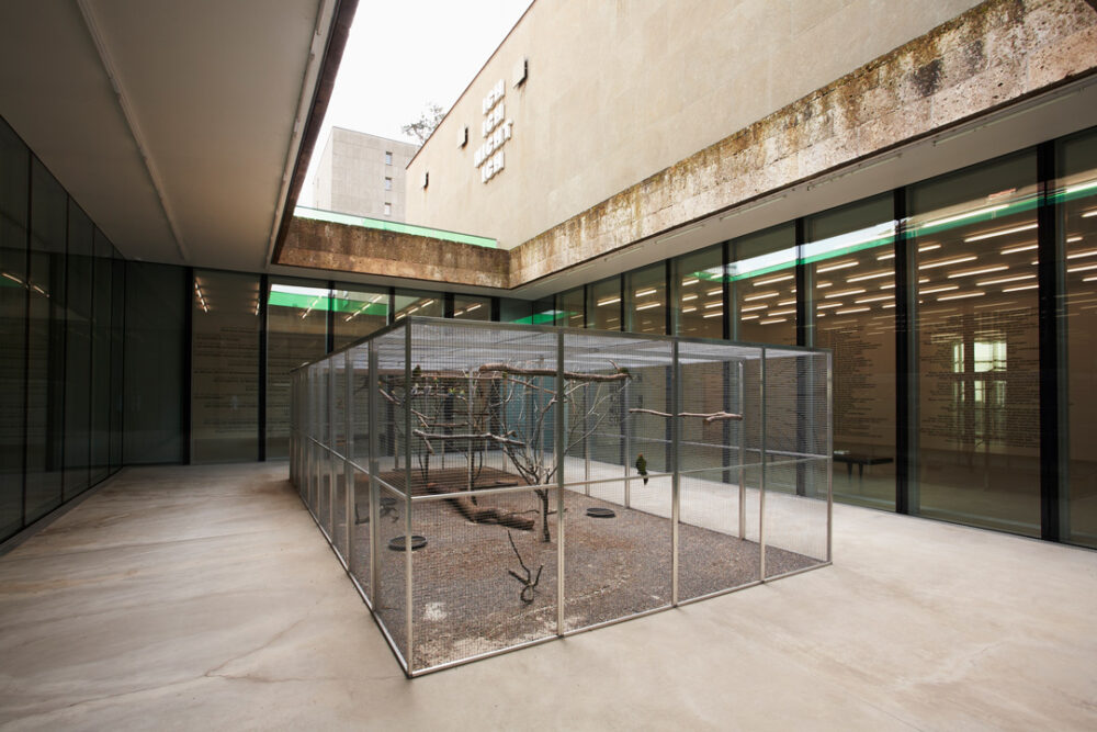 Ausstellungsansicht mit verschiedenen Kunstwerken im Aargauer Kunsthaus