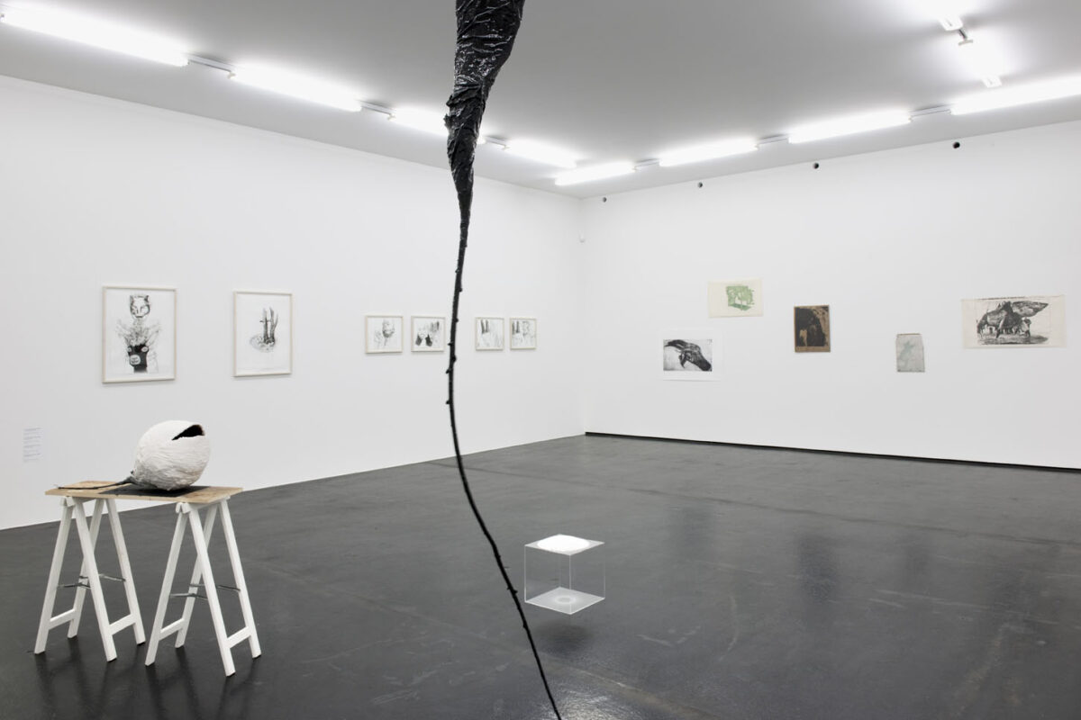 Ausstellungsansicht mit verschiedenen Kunstwerken im Aargauer Kunsthaus