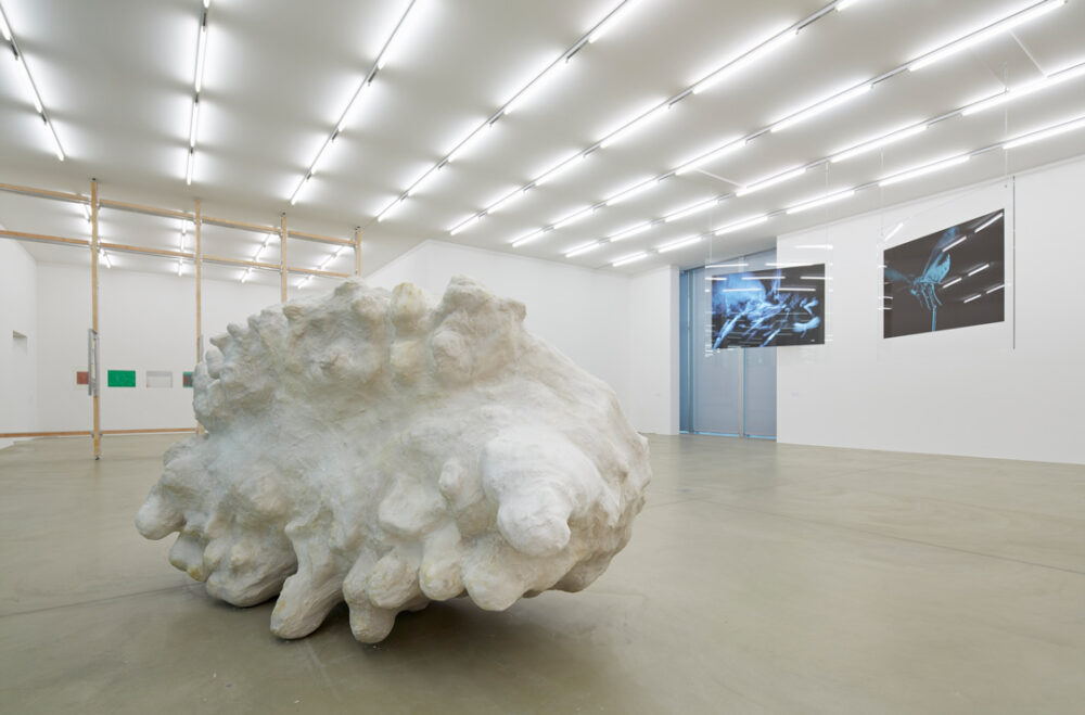 Ausstellungsansicht mit verschiedenen Kunstwerken im Aargauer Kunsthaus