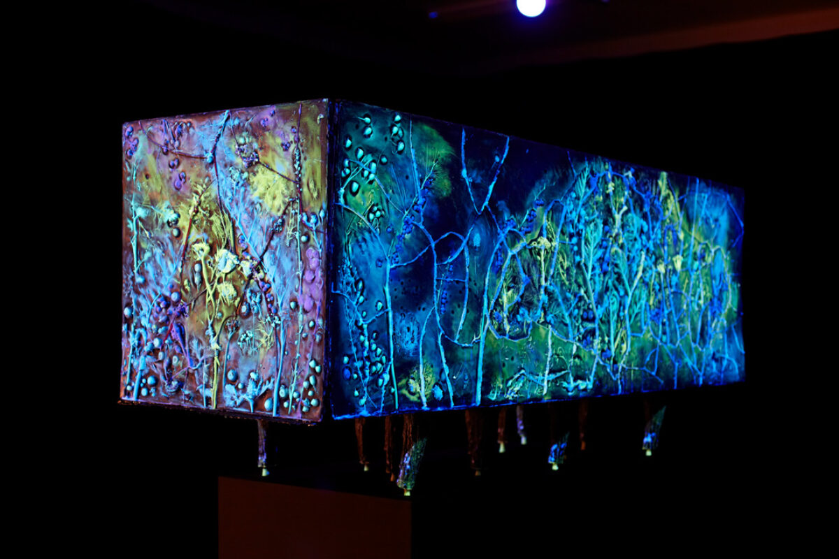 Ausstellungsansicht mit verschiedenen Kunstwerken im Aargauer Kunsthaus