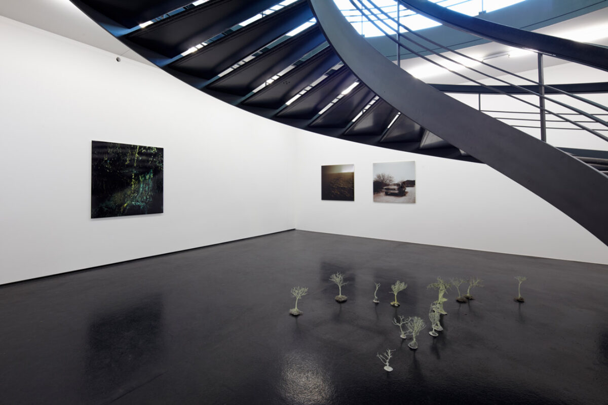 Ausstellungsansicht mit verschiedenen Kunstwerken im Aargauer Kunsthaus