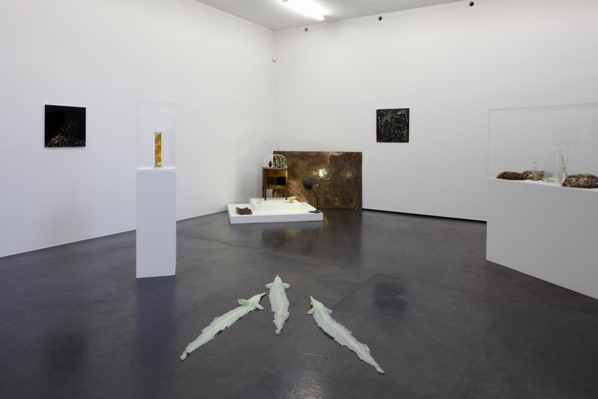 Ausstellungsansicht mit verschiedenen Kunstwerken im Aargauer Kunsthaus