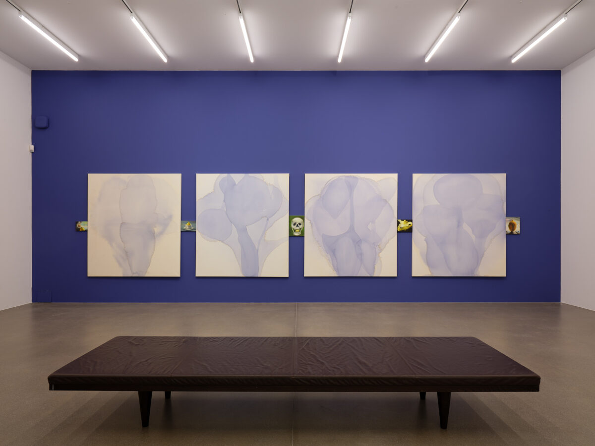 Installationsansicht von verschiedenen Kunstwerken im Aargauer Kunsthaus.