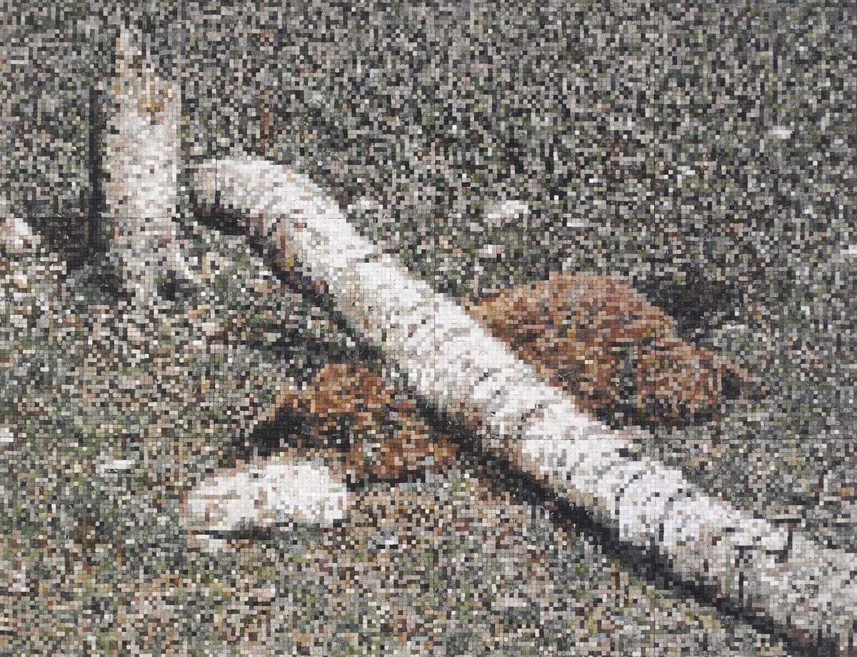 Patricia Bucher, Nature Morte, 2006