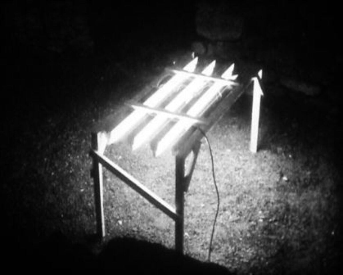 Aurelio Kopainig, Ohne Titel, 2009