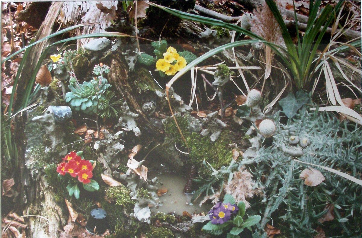 Peter Fischli
David Weiss, Waldboden, 1989