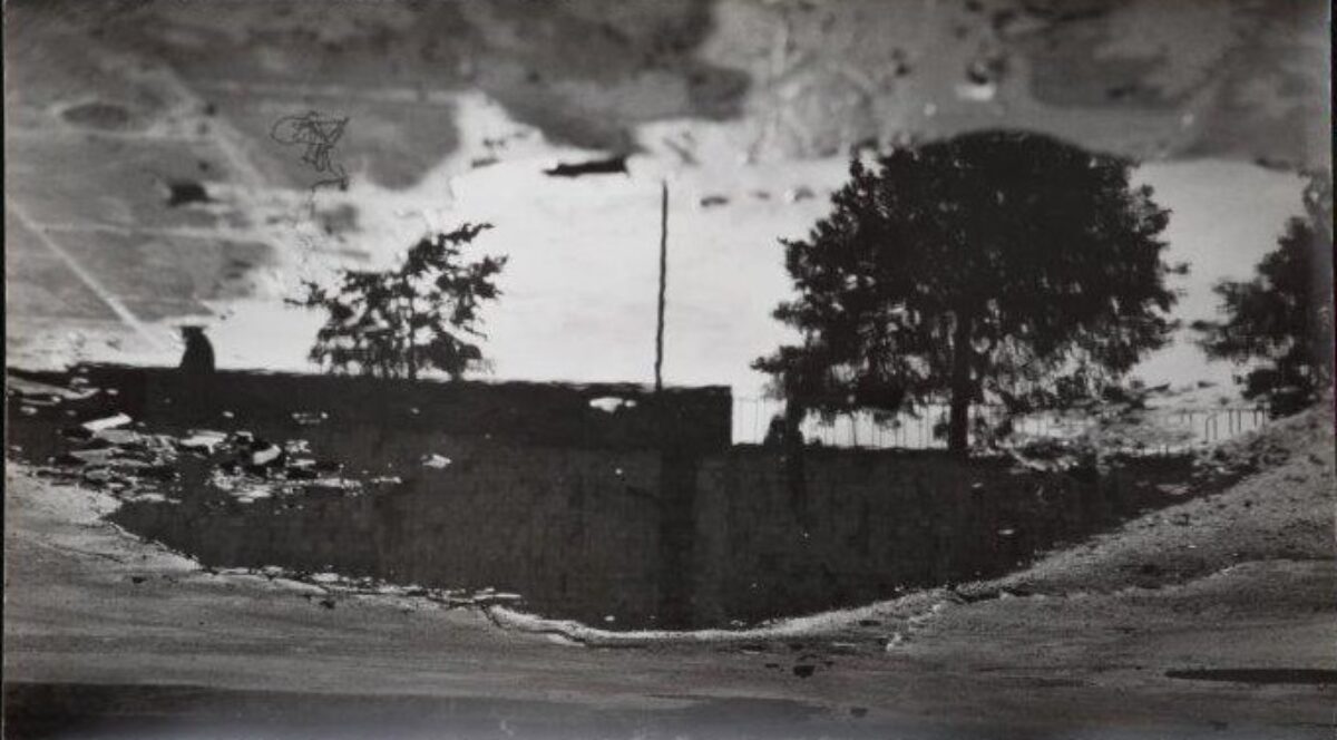 Eva Wipf, Fünfzehn Fotos: Der versunkene Garten, 1957 