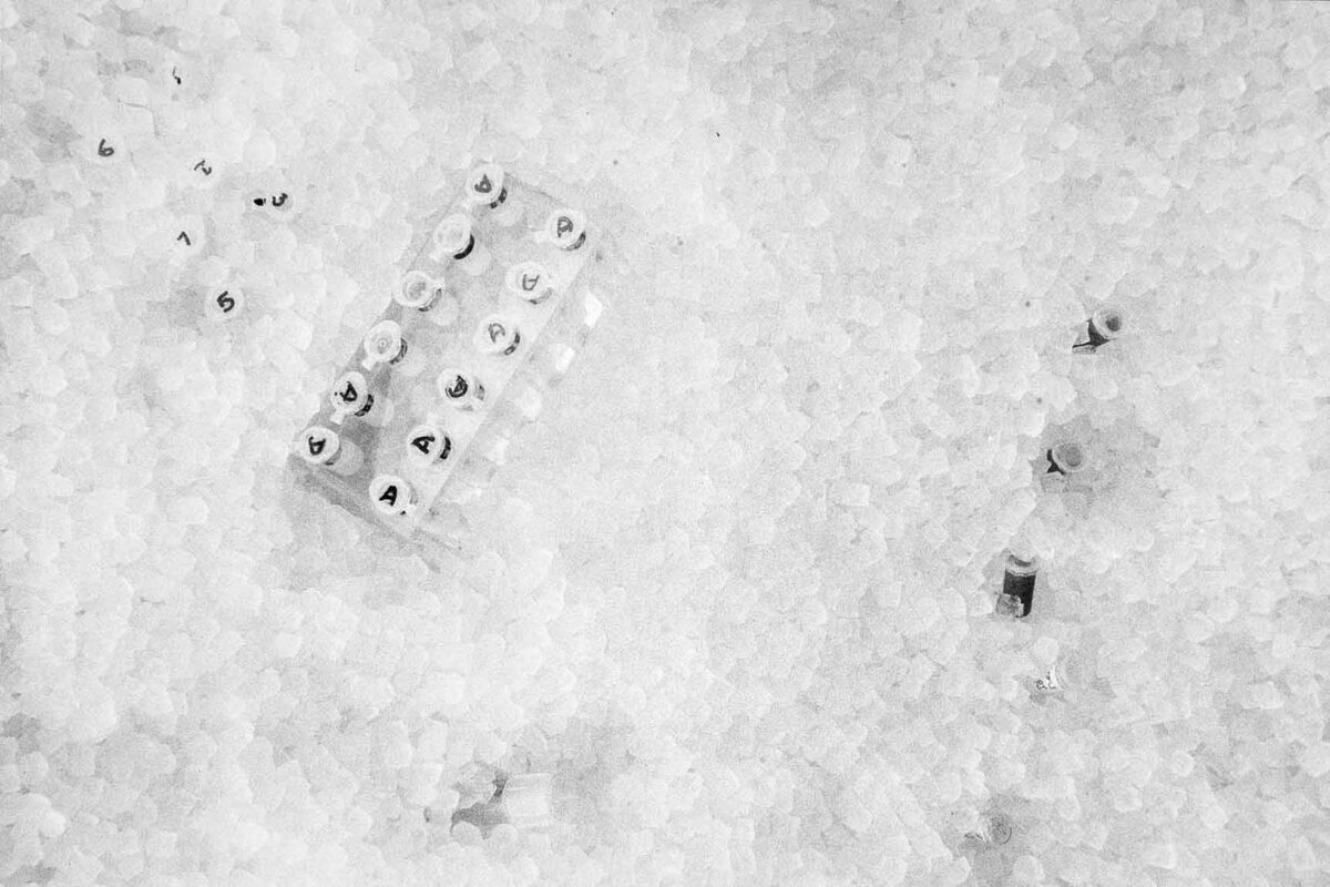 Hans Danuser, IN VIVO Zyklus I-VII (93 Fotografien), 1980-1989 