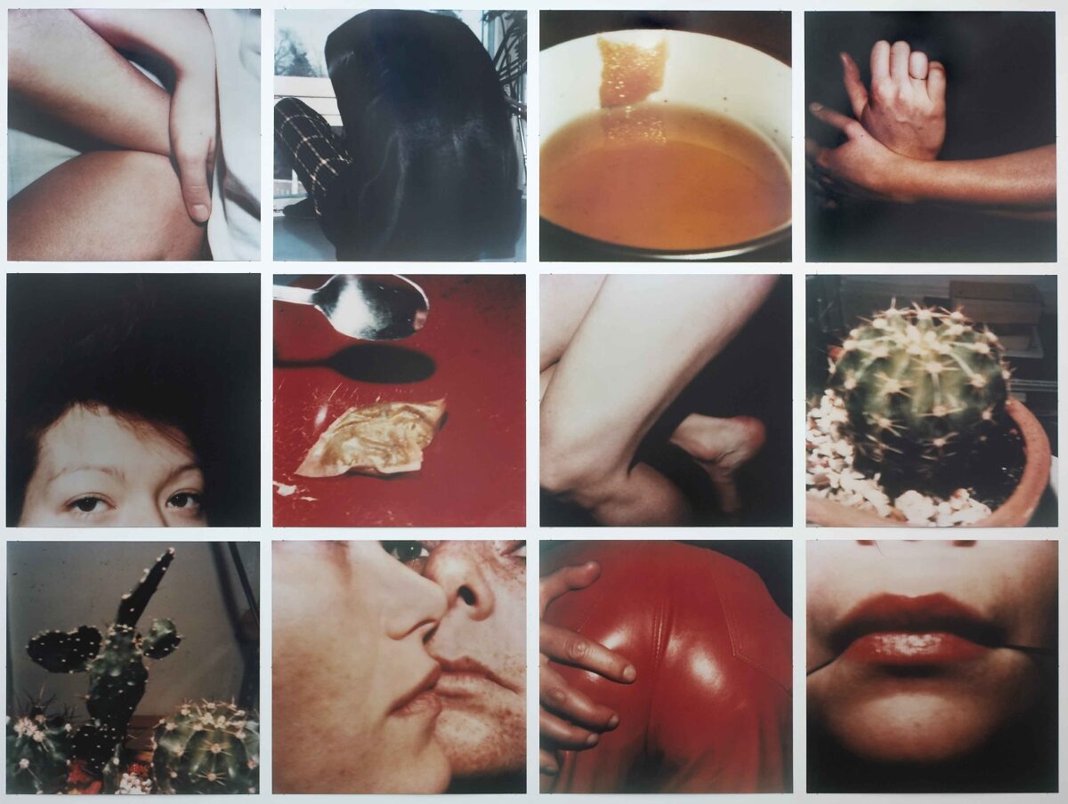 Hannah Villiger, Arbeit, 1980/1981 