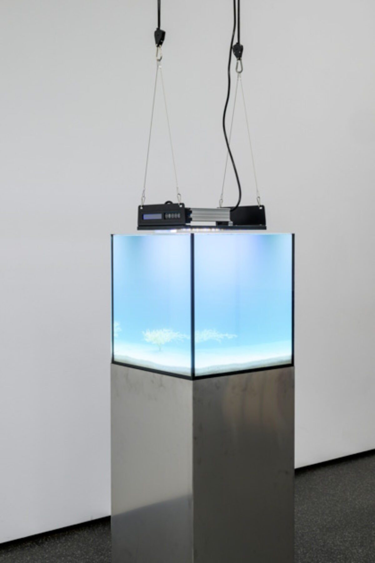 Ausstellungsansicht von verschiedenen Kunstwerken im Aargauer Kunsthaus