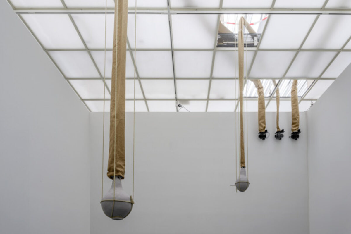 Ausstellungsansicht von verschiedenen Kunstwerken im Aargauer Kunsthaus