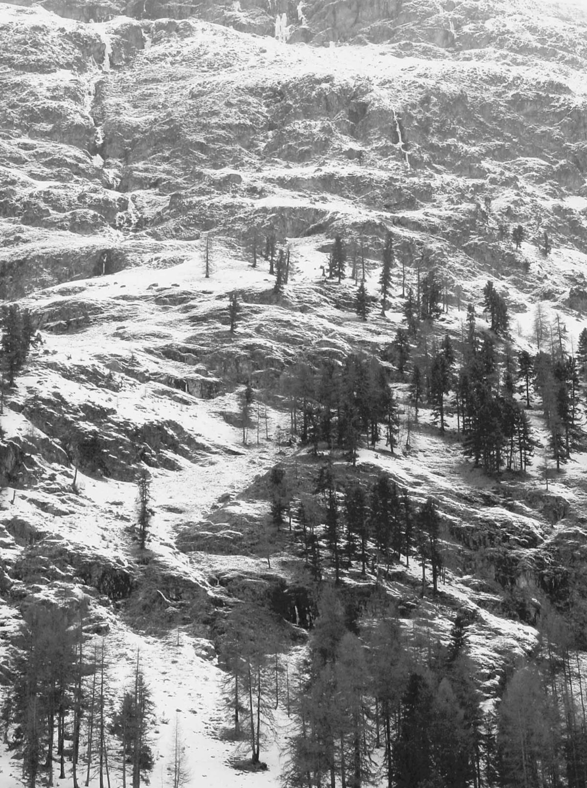 Cécile Wick, Rosegg, 2003 