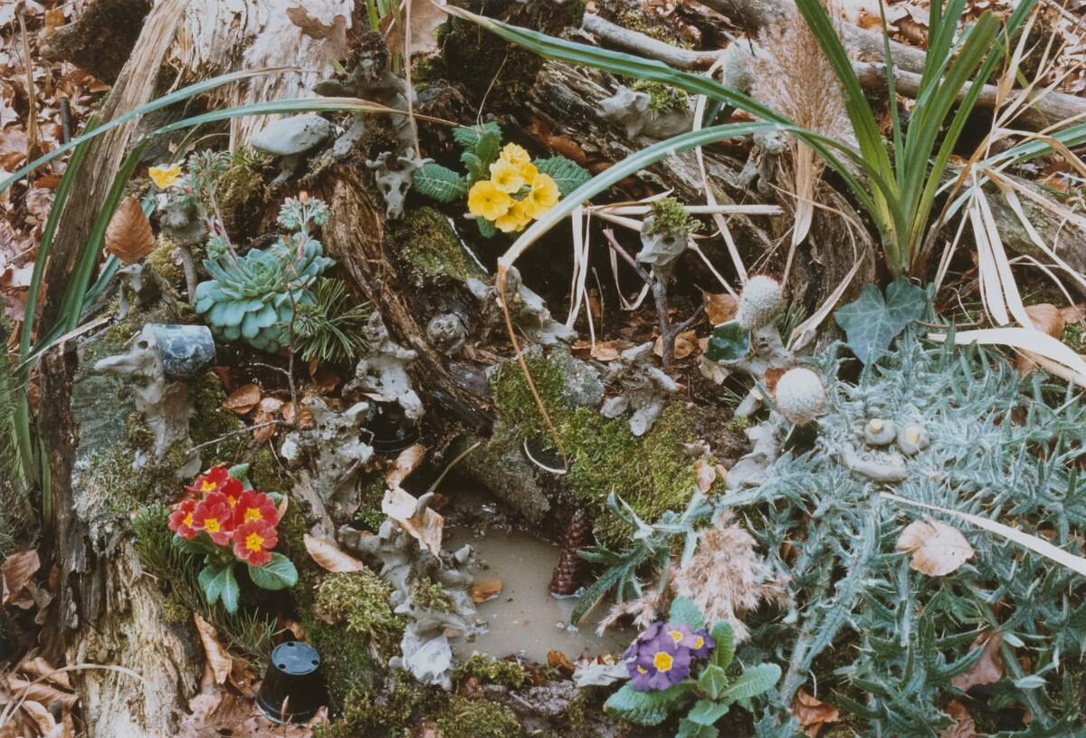 Peter Fischli
David Weiss, Waldboden, 1989 