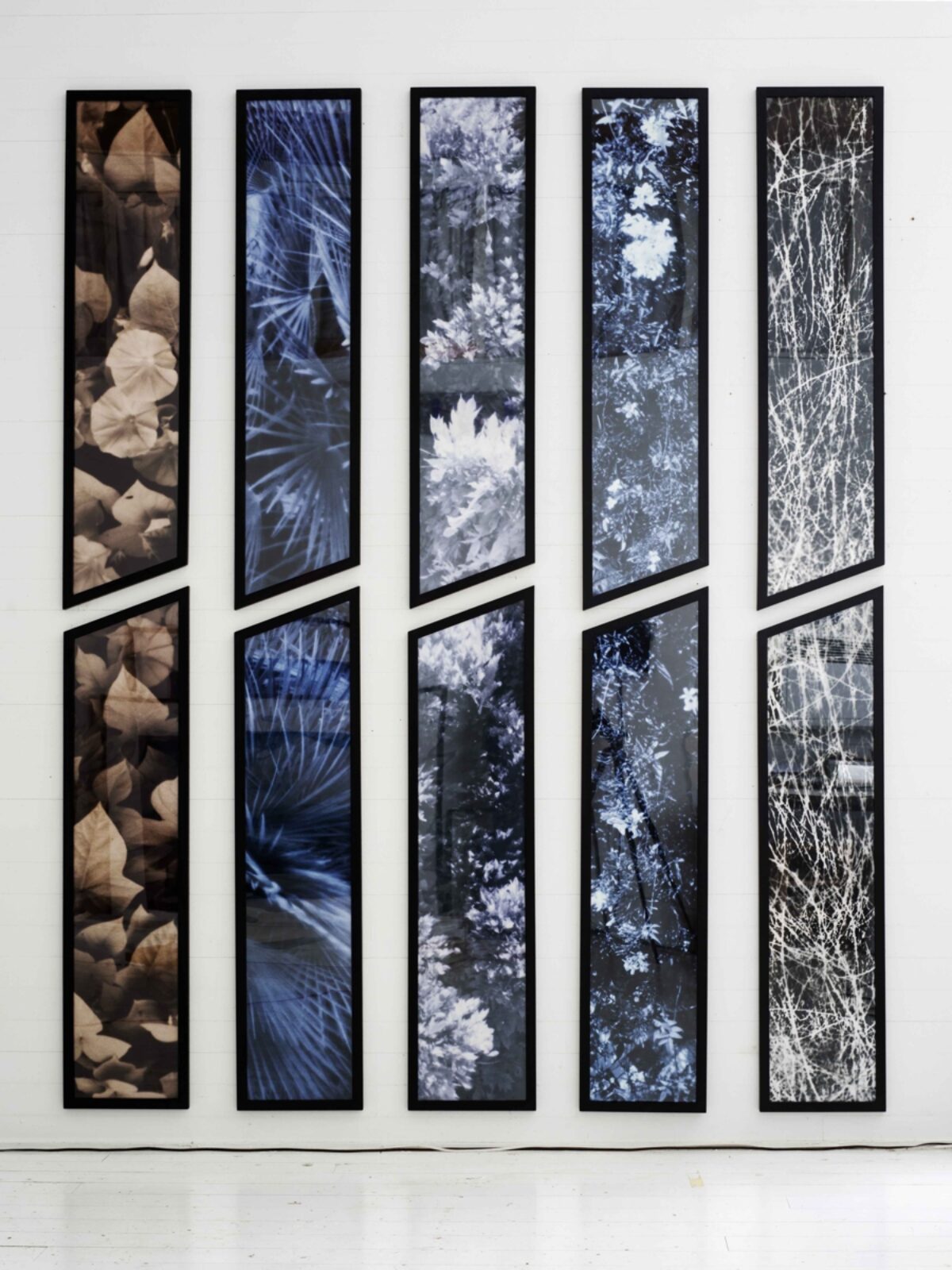 Silvie Defraoui, Palissades (H250), 2000 