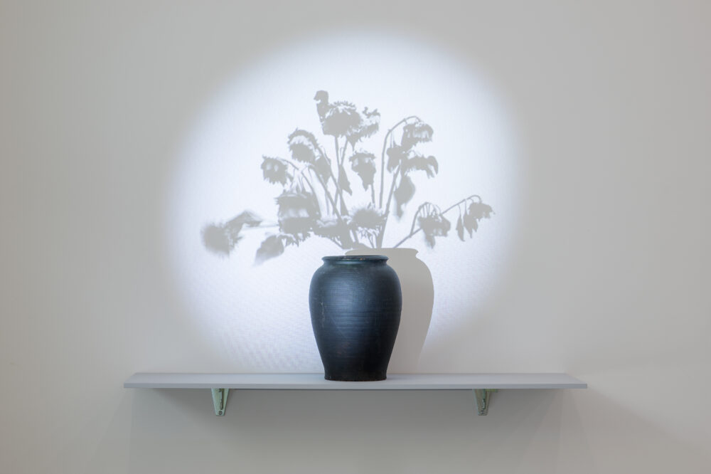 Werk von Ursula Palla (*1961), Sunflowers 2, 2013 / 2014 zeigt eine Blumenvase, auf die ein Blumenstrauss aus Sonnenblumen-Schatten projiziert wird.