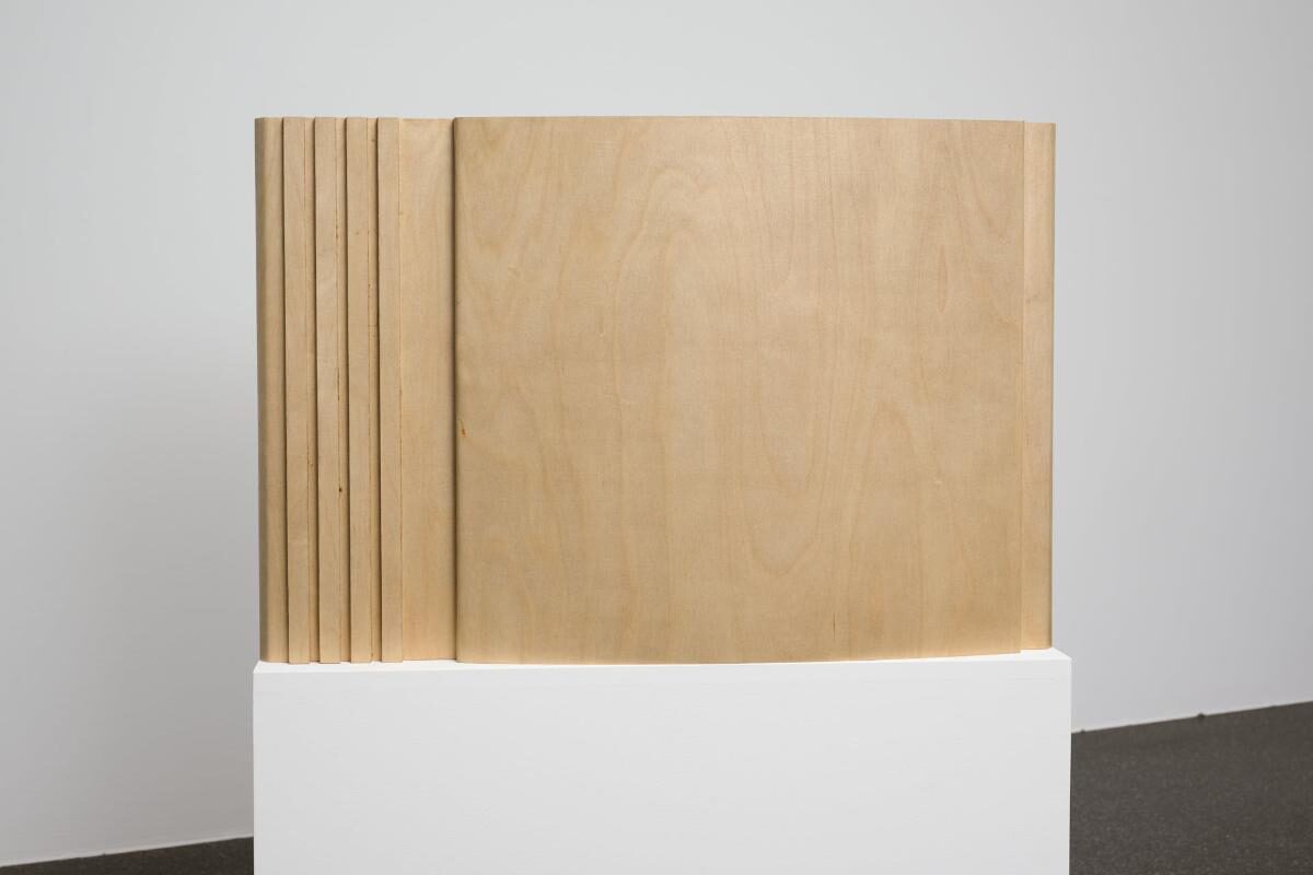 Dieter Wymann, Volumen (Fernseher), 1990/91 