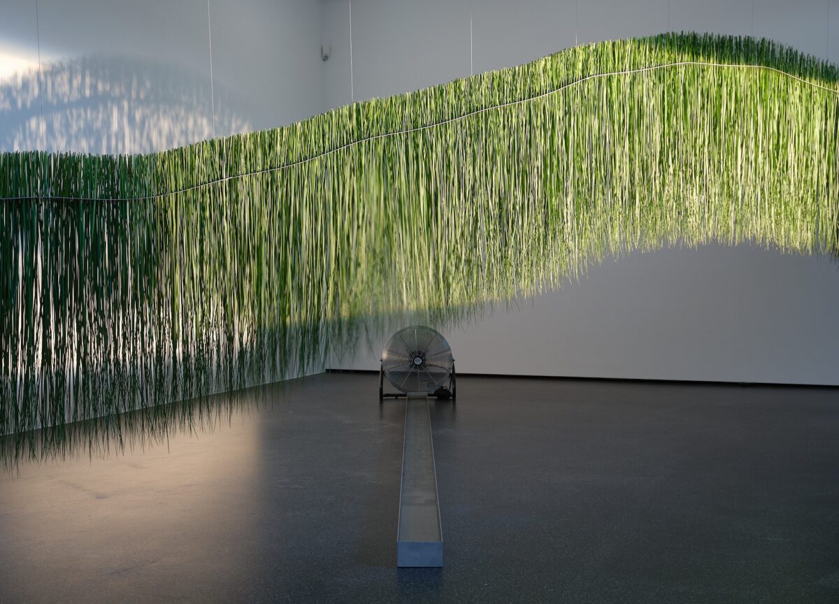 Eine florale Interpretation eines Kunstwerkes aus der Sammlung des Aargauer Kunsthauses