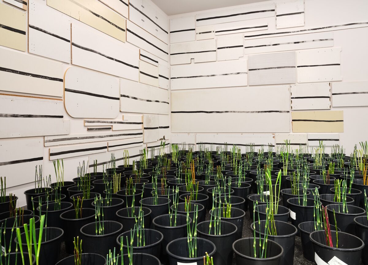 Eine florale Interpretation eines Kunstwerkes aus der Sammlung des Aargauer Kunsthauses