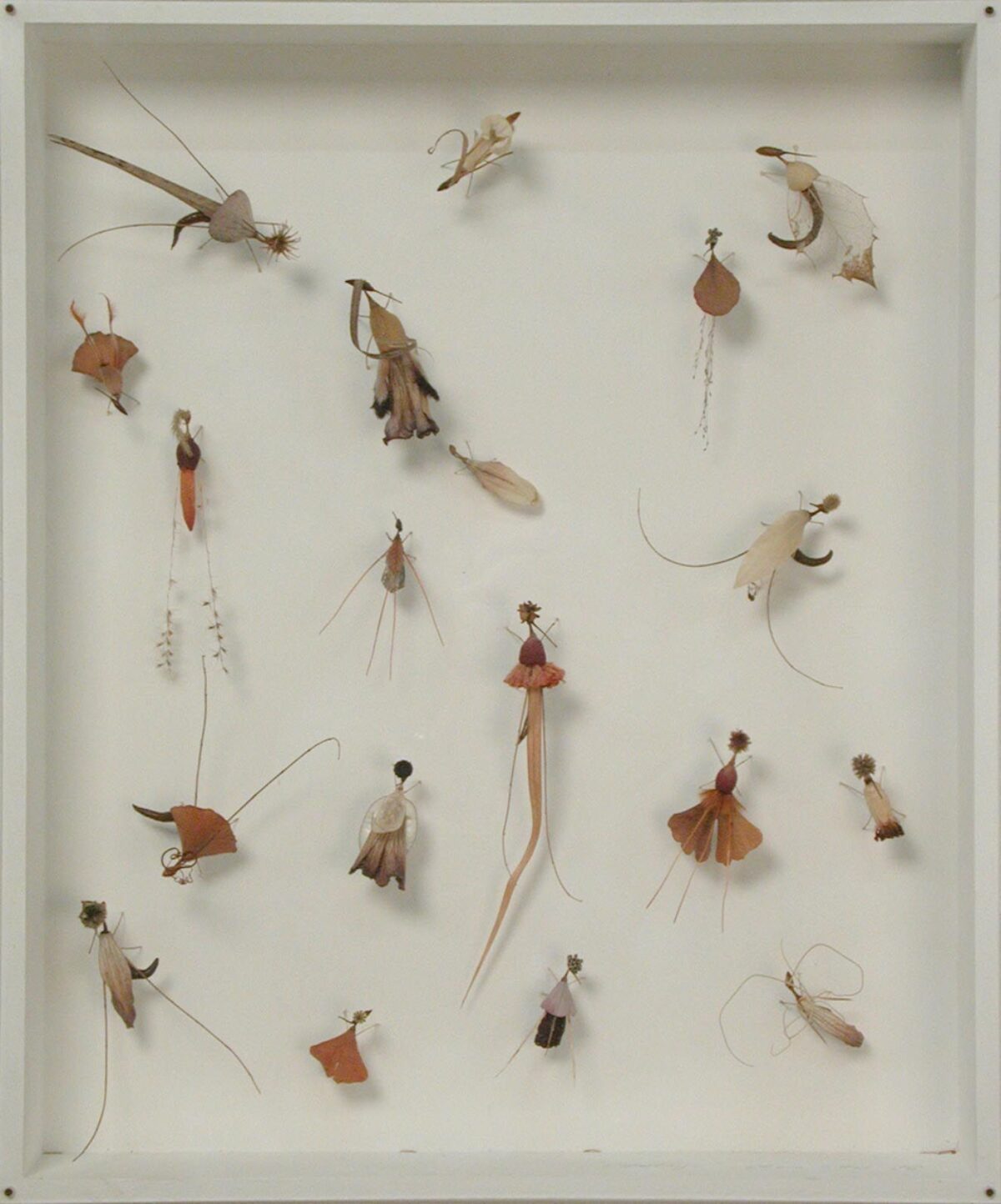 Olivia Etter, Etterlinge, 1996 