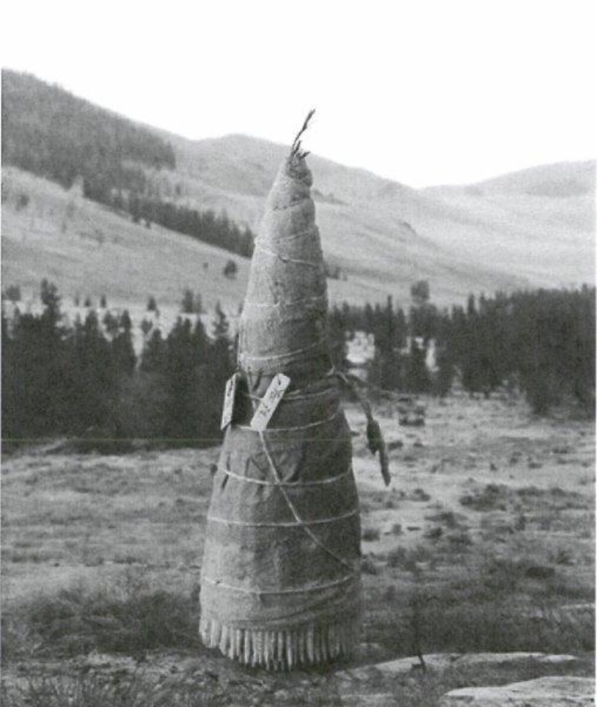 Taiyo Onorato
Nico Krebs, Feather Stamp, 2015 