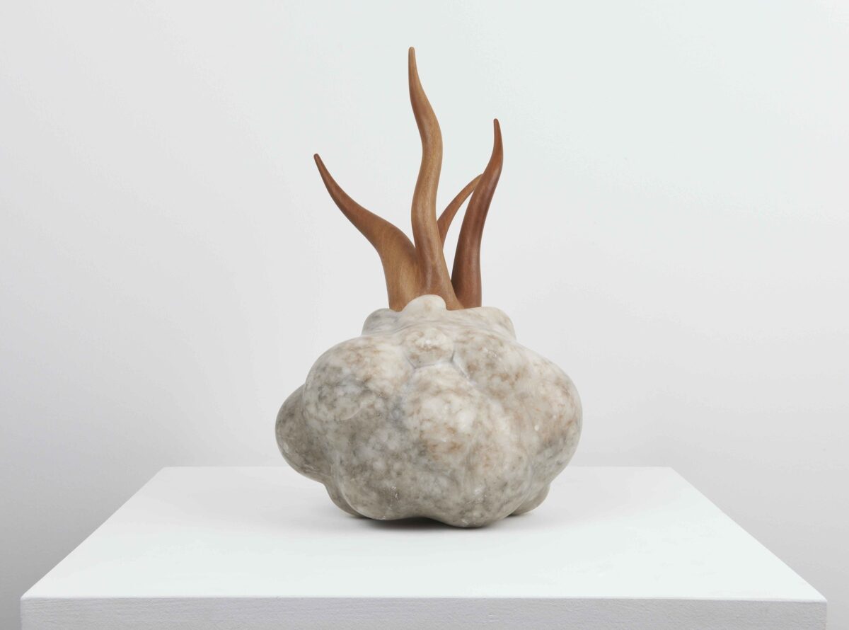 Christian Rothacher, Wolke schlägt Wurzeln, 1975 