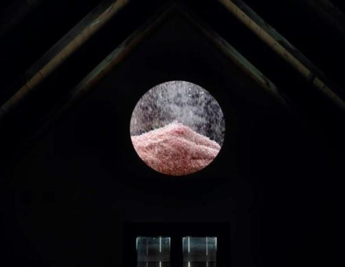 Judith Albert, Berg, 2016 